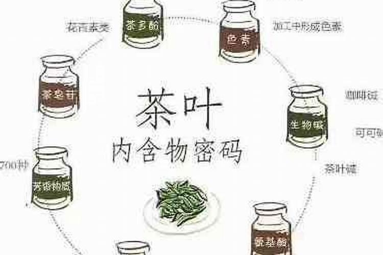 茶叶施肥用什么肥料好 茶叶树种生长分为几个时期