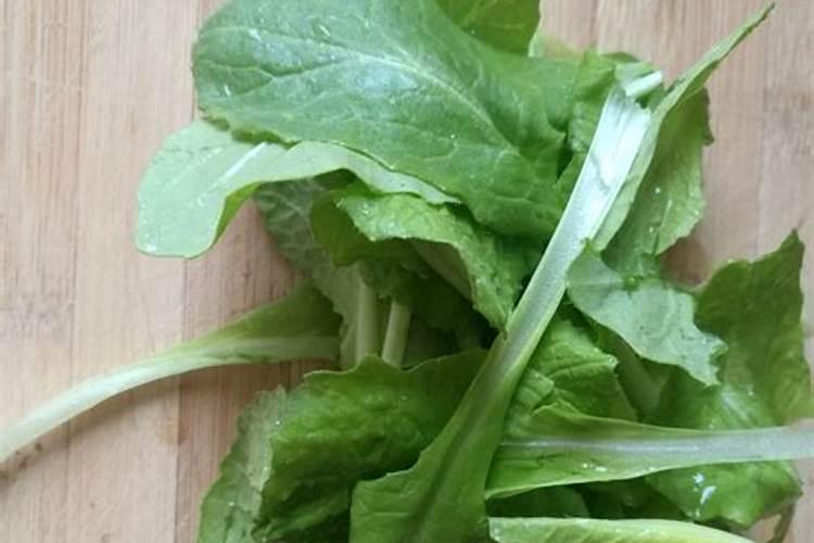 烂菜叶子可以做肥料吗