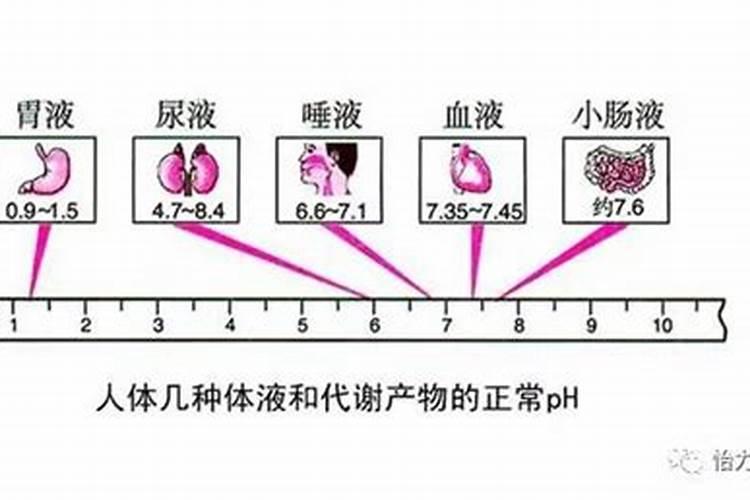 海带配什么可降低寒性