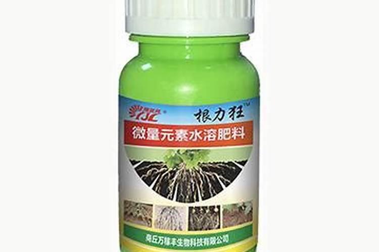 商丘市黑大壮肥业有限公司怎么样？