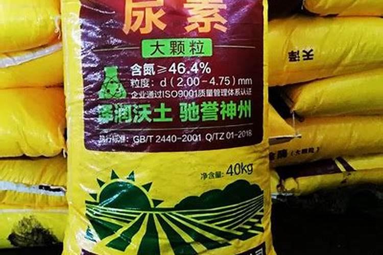 刚种的树多久浇一次水 多久可以施肥