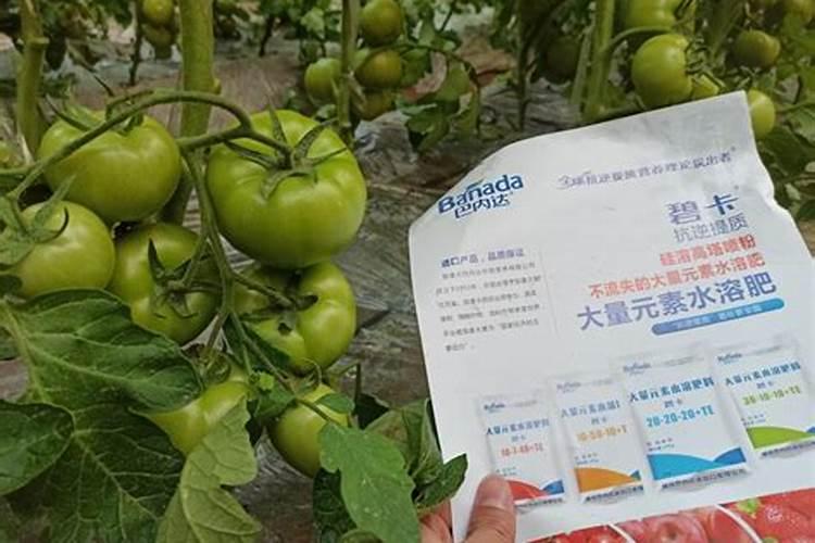 花生肥氮磷钾最佳配方