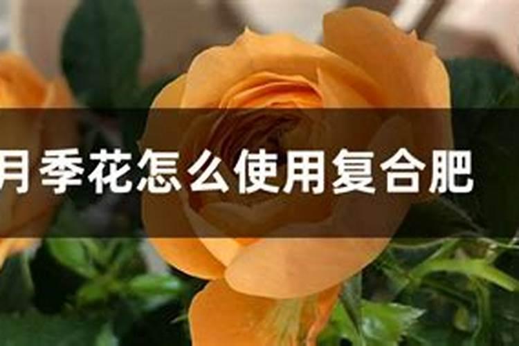 花椒树冬季管理的注意事项