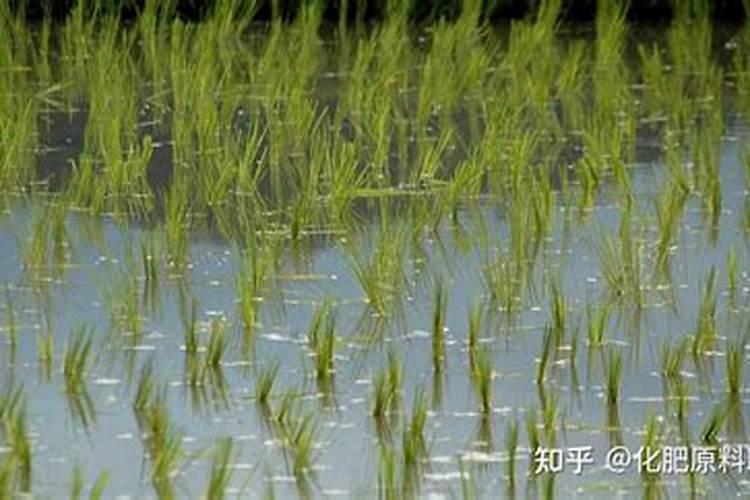 请问专家虫螨腈能不能在大豆田间用？