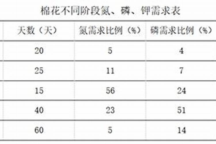 棉花的种植过程和管理
