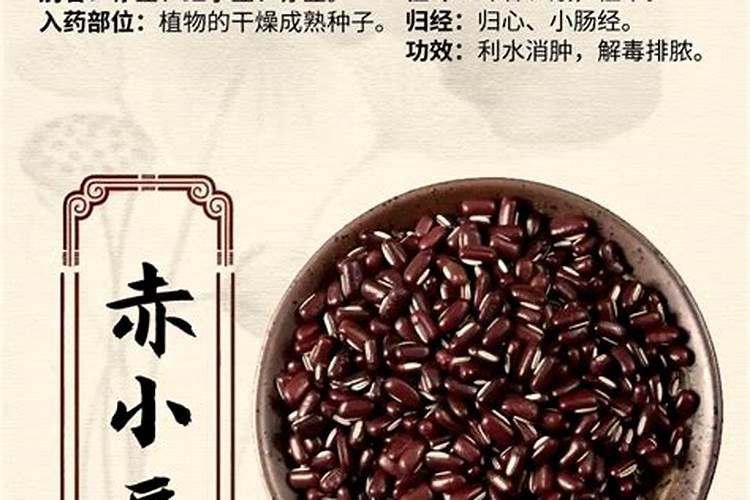 花椒树黄叶病的原因及治疗处理方法