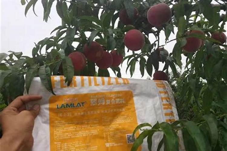 桃树什么时候用水溶肥最好