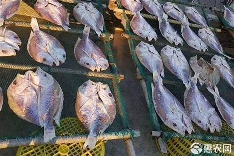 鱼胶多少钱一斤 揭秘决定鱼胶价格的4种因素