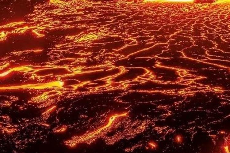 迎春花喜欢化肥吗？你喜欢用什么肥料？