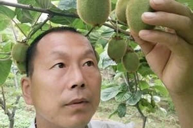 低氯复合肥能用于果树吗？