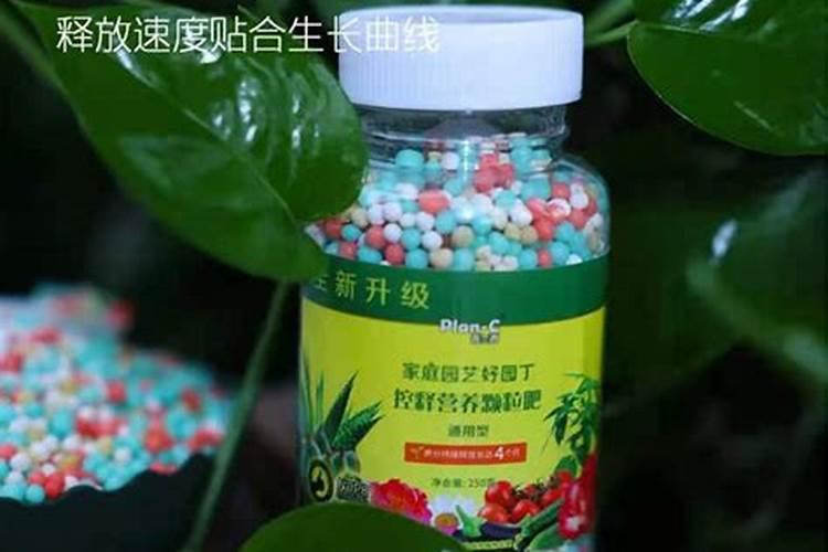 柑橘幼苗水溶肥的用量是多少？