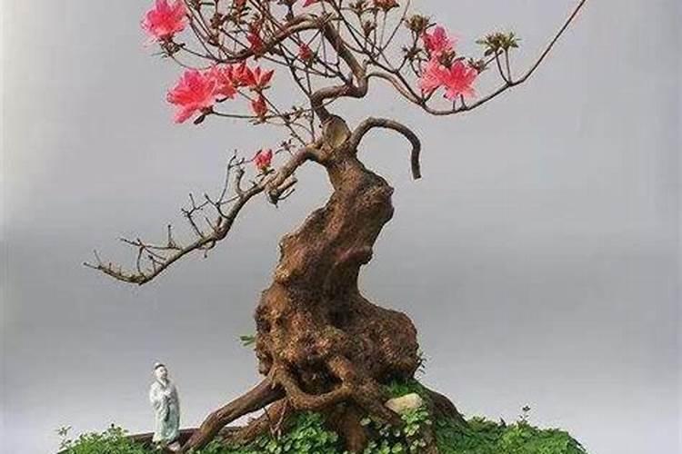 鱼塘生石灰可以连用几天么