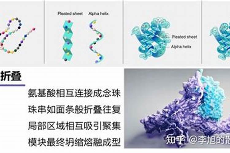 硝态氮肥有哪些