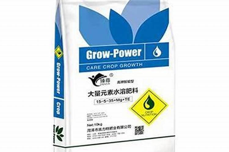 泰国青柚的种植技术
