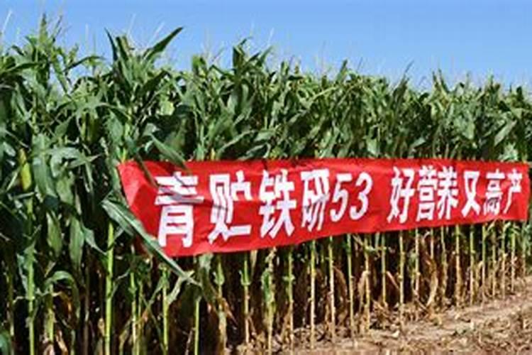 国内比较好水溶肥厂家有哪些
