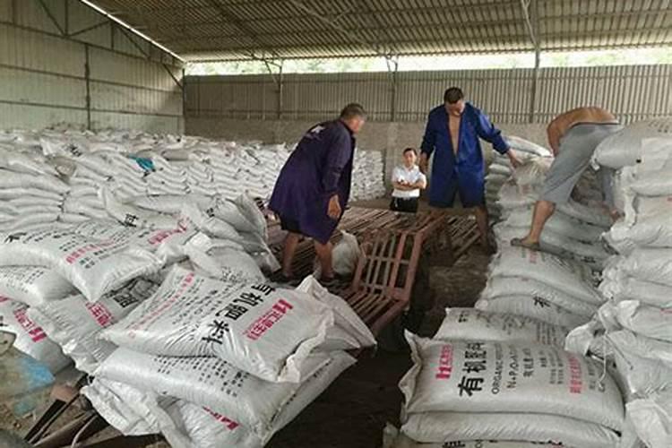 根系不发达怎样处理