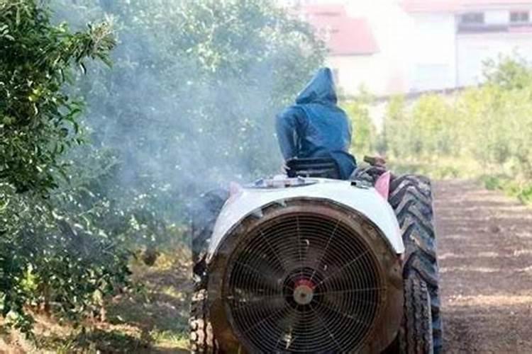 氮肥属于哪种肥料？