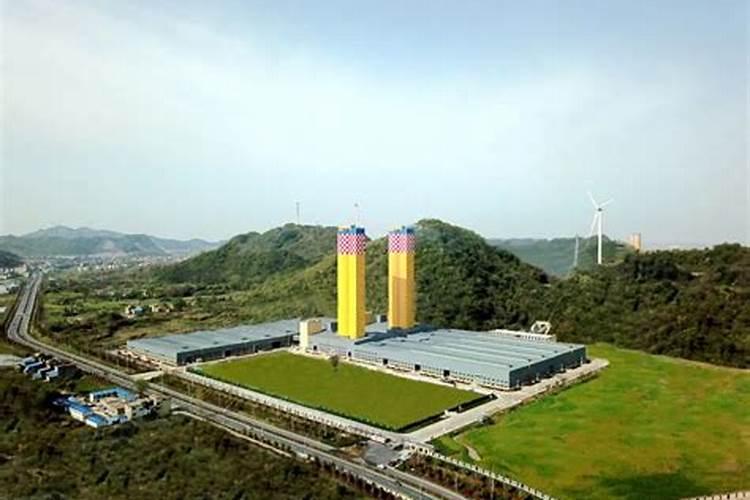 菊花花期需要施肥吗