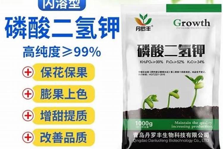 用什么肥料施橙子果子长大