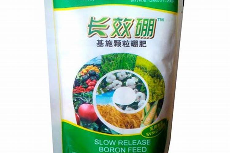 茶花什么时候施肥