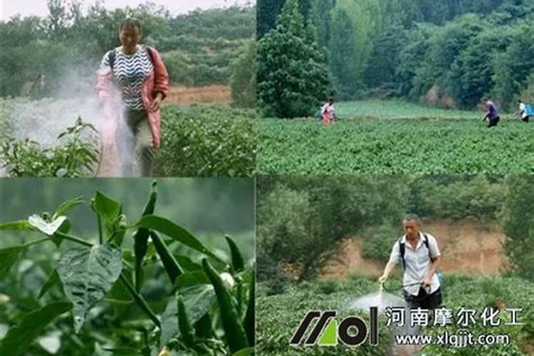 湖南化肥品牌 湖南化肥厂家 湖南有哪些化肥品牌【品牌库】