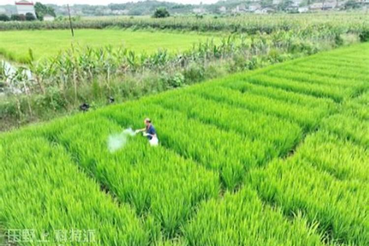 中国最好的硅肥生产企业有哪些？推荐几家,我想代理硅肥