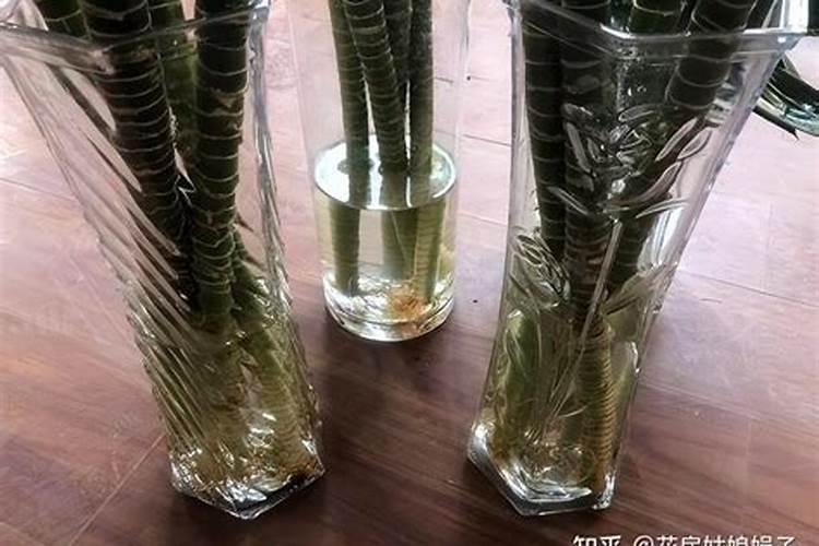 水稻熟了之后在打农药,会不会有什么影响？