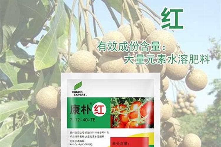 如何给农作物科学施用锌肥