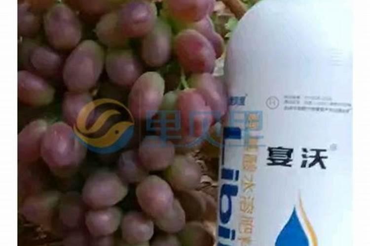 葡萄树施什么肥好