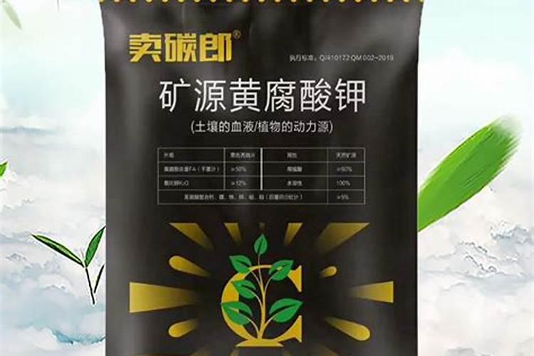 丝瓜高产施肥方法