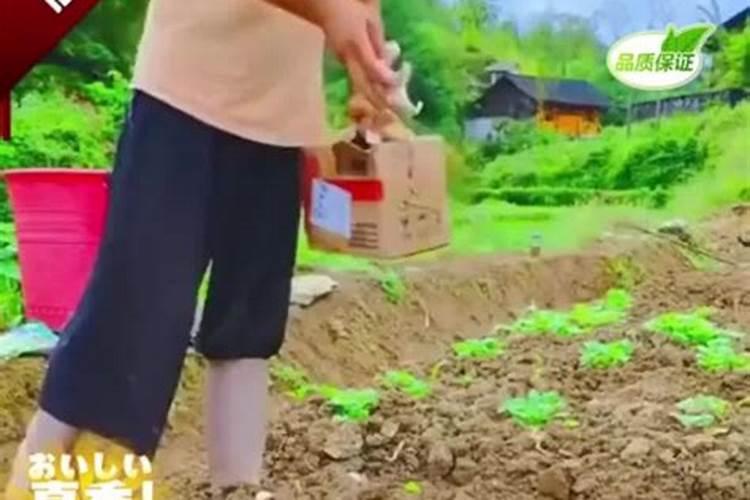 贵州瓮安县简介