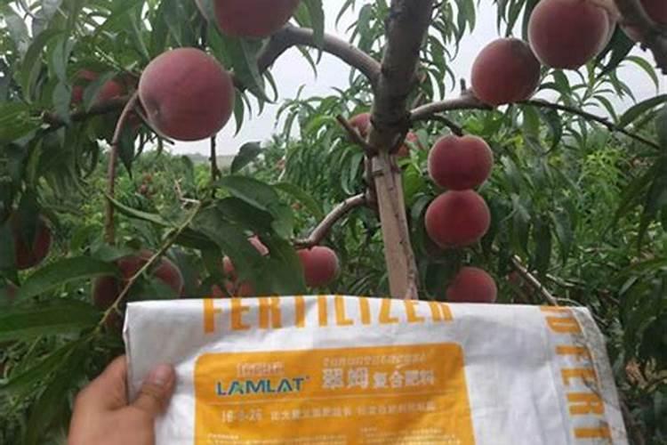 一亩草莓浇了26公斤钾肥多吗？如果多了应该怎么补救