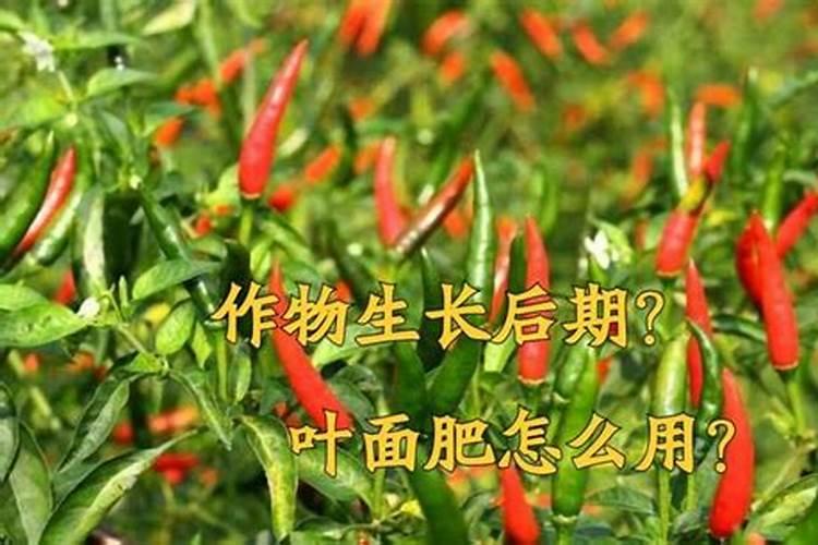 果树在果实膨大期施入钾肥过量有危害吗？