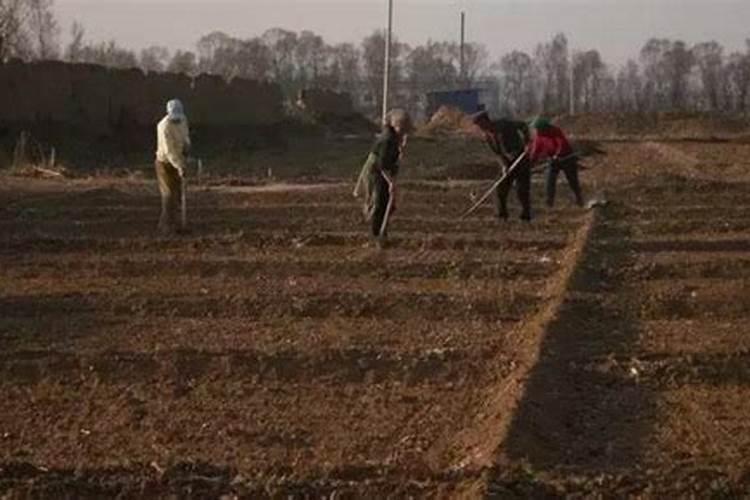 夏天怎么给花施肥 施肥的时候要注意什么