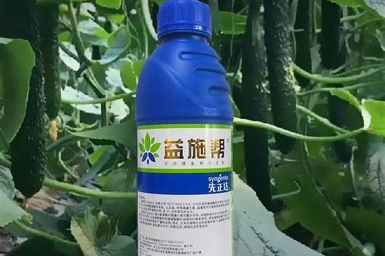 哪的叶面肥卖的好？