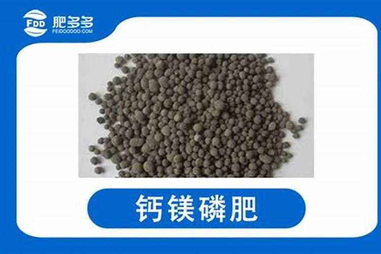 养花用什么肥料最好