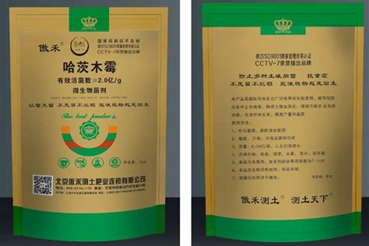 绣球换盆后要浇水吗 上盆后浇水方法
