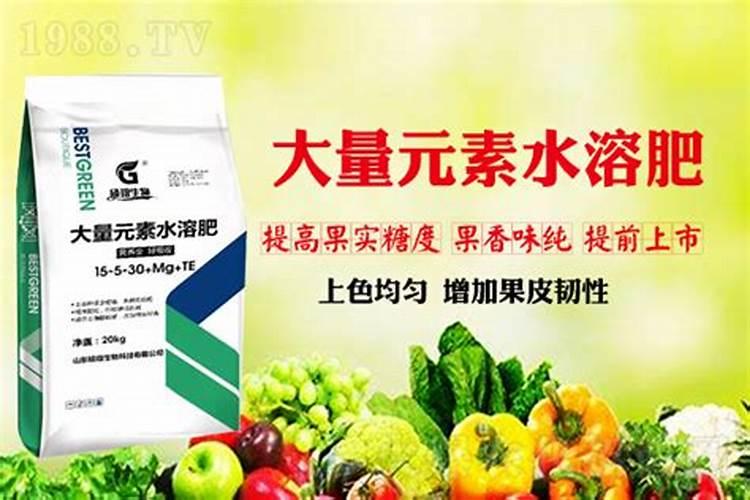 氮肥养花使用方法有什么？