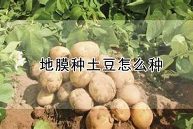 水溶肥知名品牌有哪些？