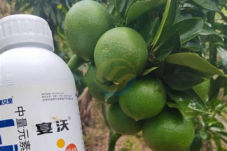 樱桃树水溶肥的使用方法