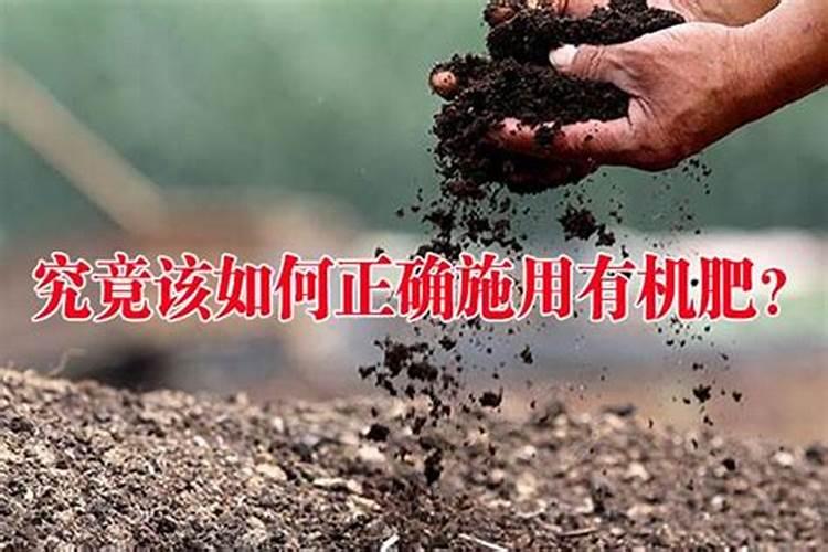 有机肥的正确施肥方法