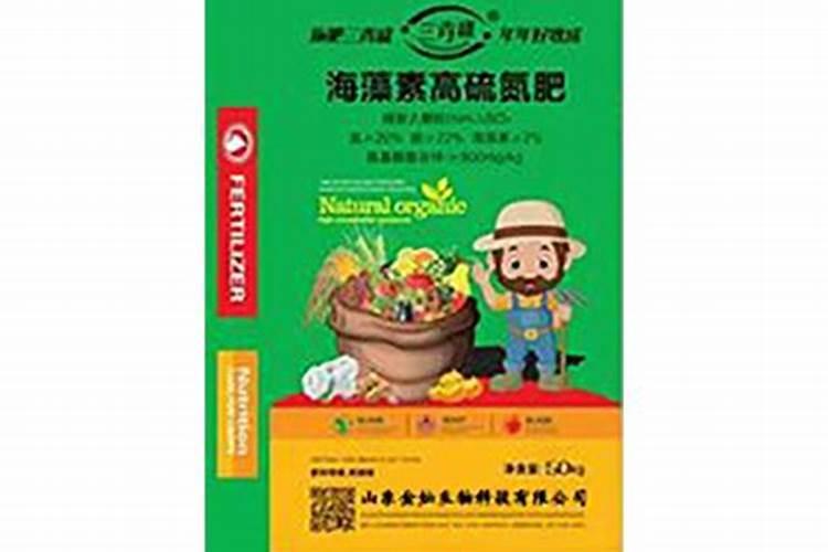 阴雨天能种玉米吗