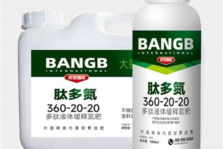 那里有卖的蘑菇菌种