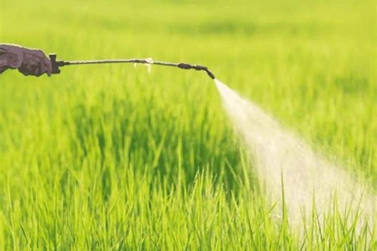 三个20水溶肥怎么配