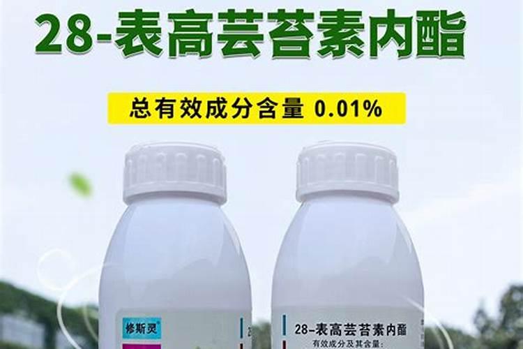 果树施肥用什么肥料好