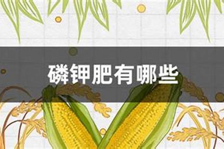 樱桃施什么肥料好？樱桃怎样让果实快速膨大？樱桃叶面肥用金泰靓