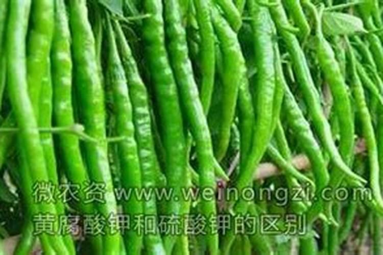 生化黄腐植酸钾与硫酸镁易结块吗