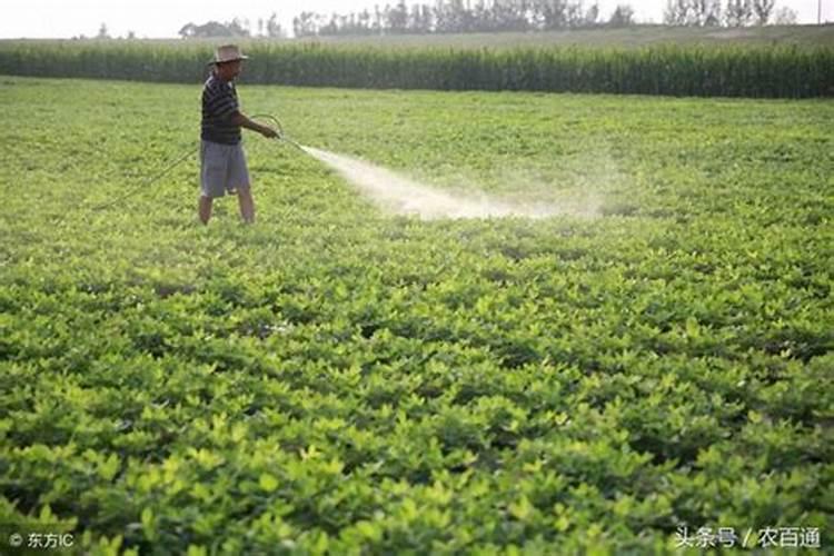 芸苔素能拌麦种吗