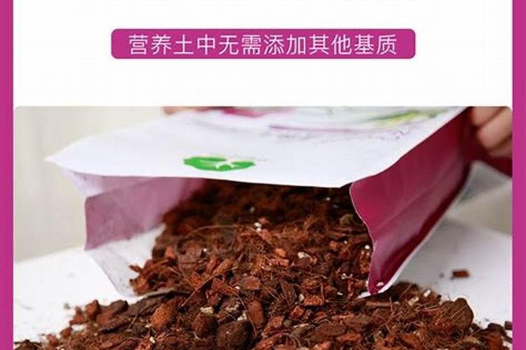 蝴蝶兰生长期怎么施肥开花多