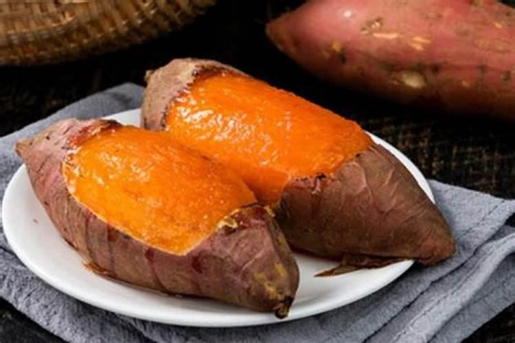 葡萄苗管理的11个错!哪一个错都犯不得!实用好文